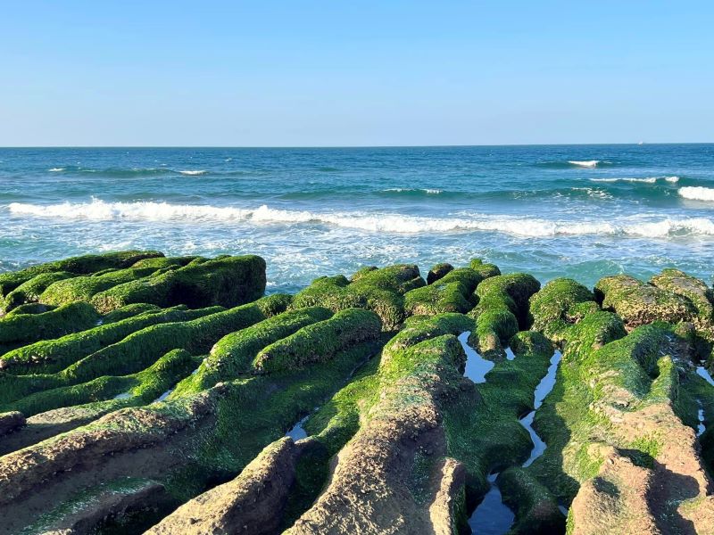 可於3月中到5月初至「海灣綠洲bay & oasis」海邊觀賞老梅石槽。（圖／海灣綠洲）
