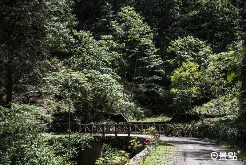 樹海步道位在藤枝國家森林遊樂區內。（圖／行政院農業委員會林務局）