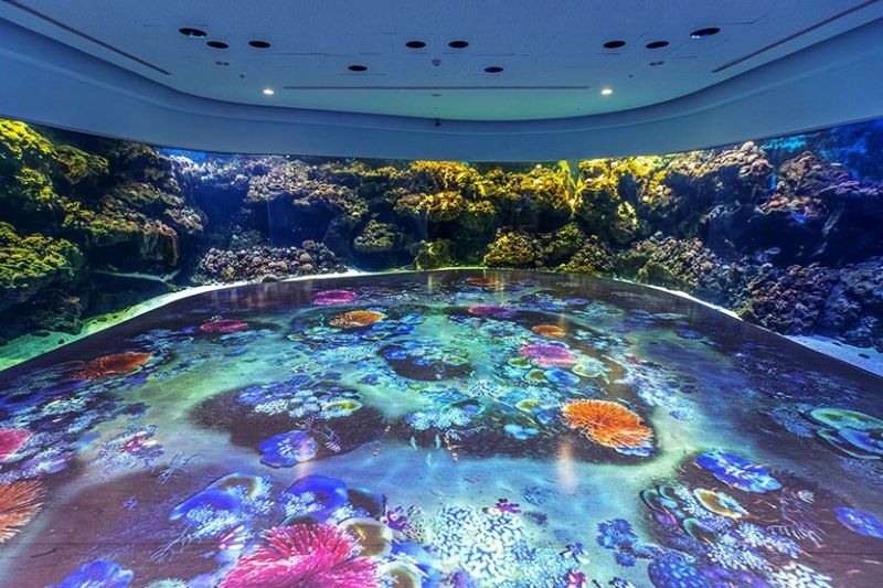 Xpark內的光影藝術呈現生動的海底畫面。（圖／Xpark）