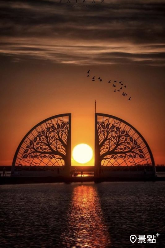 「生命之樹」與夕陽形成絕美景象。（圖／imma_pon）