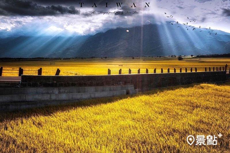 稻田成熟期的金黃色伯朗大道與山脈呈現絕美的景色。（圖／imma_pon）