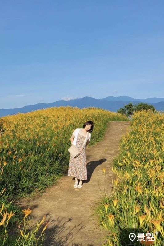 於山路間可捕捉金針花與山景的同框美照。（圖／huichuangchang）