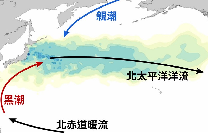 8月24日福島核廢水排進大海！福島漁民台灣漁民皆憂心海洋環境汙染與食安問題