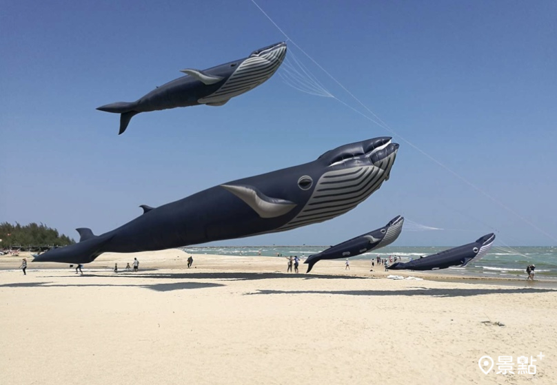 2隻全球最大30米鯨魚風箏首度同台飛！國際風箏節登場