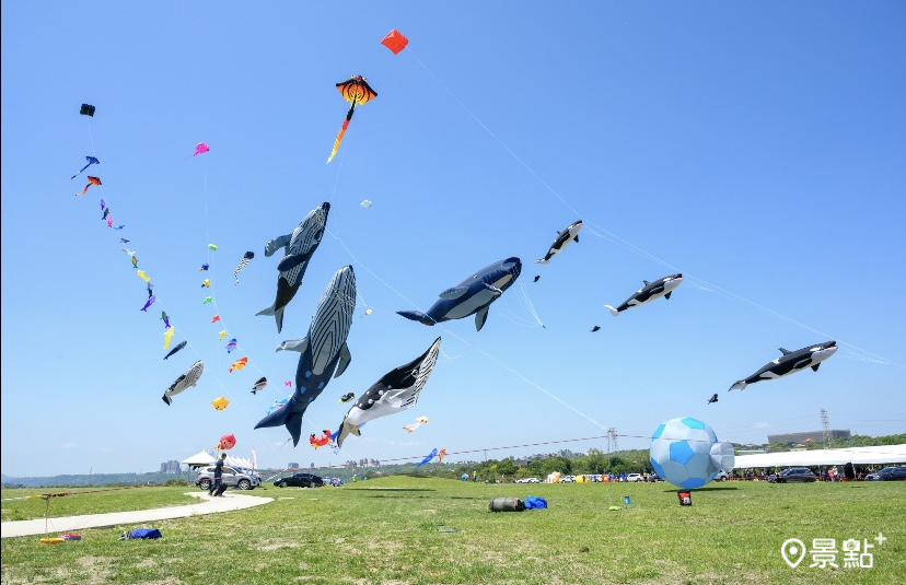看風箏海沙雕展聽音樂！海祭精彩登場卡司堅強 順遊景點一次看