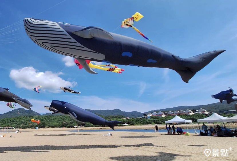 15座鯨魚章魚風箏飛舞！2023福隆生活節 草地浪花音樂會 海洋風箏嘉華週末亮點
