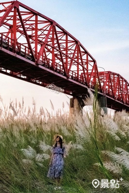 甜根子草與紅橋同框氛圍美景。（圖／double.leo.tw）