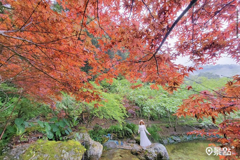 2023年秋分為9月23日，圖為拉拉山祕密花園楓紅美景。（圖／yijiun_lee）