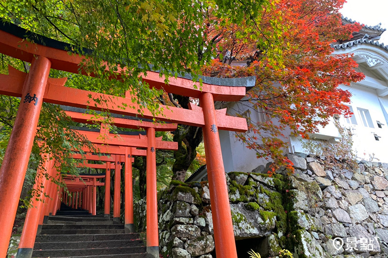 但馬小京都「出石城下町」賞楓景點有子山稻荷神社，宛如京都千本鳥居。