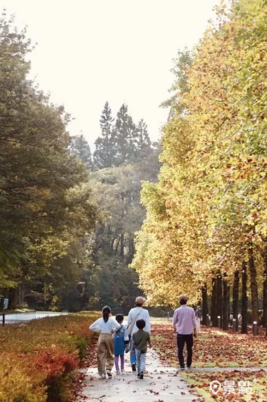 神鍋高原富有秋季色彩的大自然秋黃隧道「植村直己冒險館」。