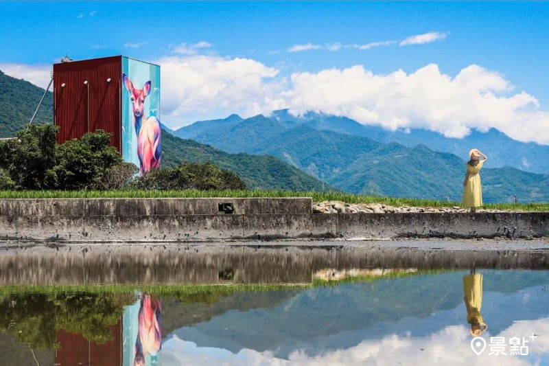 稻田反射出地景藝術與後方山景的同框美照。（圖／tintinghi，以下同）