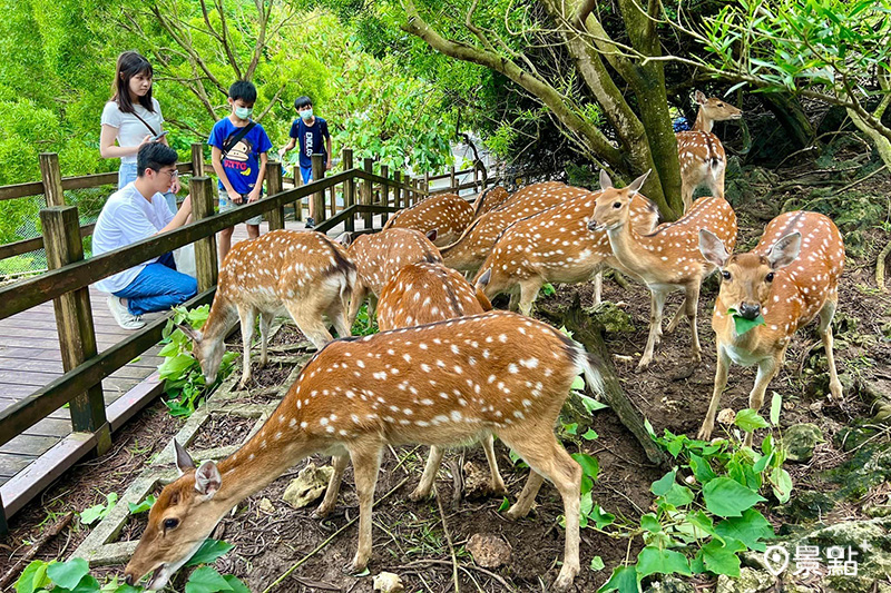 適合親子同遊的壽山動物園。