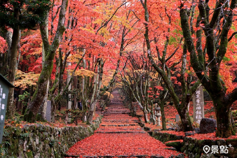沉浸秋冬氣息，玩遊日本滋賀補充微笑能量從山頭到湖畔，貼近雲彩四溢的夢幻鄉