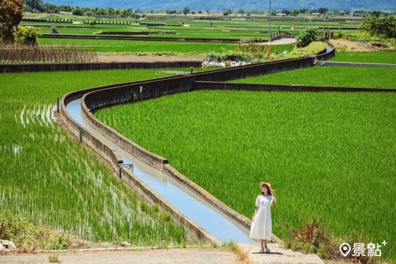 台東錦園洗衣亭可以拍到無死角的翠綠稻田大景。（圖／tintinghi）