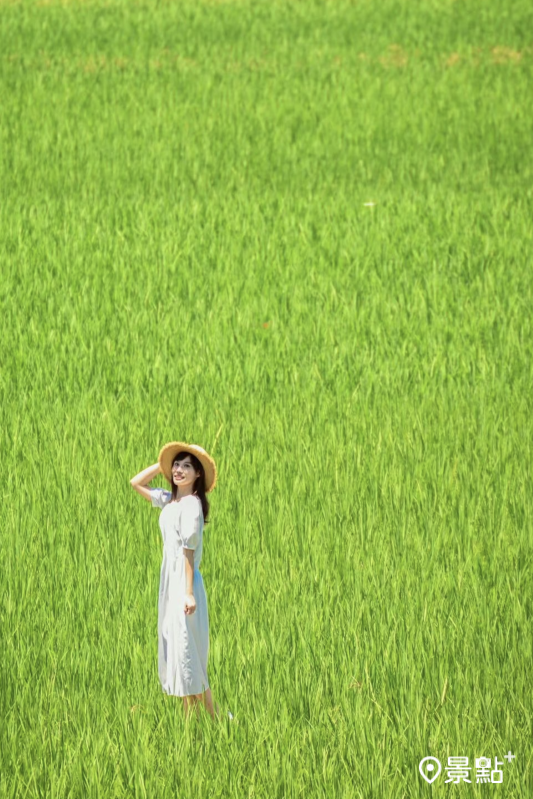 在錦園洗衣亭上可以捕捉滿版的翠綠稻田美景。（圖／tintinghi，以下同）