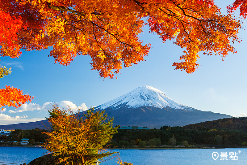 Klook推出「日本富士回遊號」車票線上預購，從東京新宿出發僅2小時就能直達河口湖。（圖／Klook，以下同）
