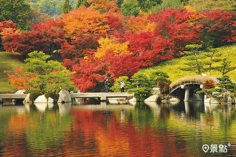 美麗的紅葉倒映在三景園的池面上，形成如畫一般的景緻。