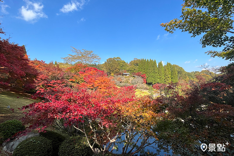 藍天白雲下，漫山遍野的紅葉綠樹映襯著三景園，美不勝收。