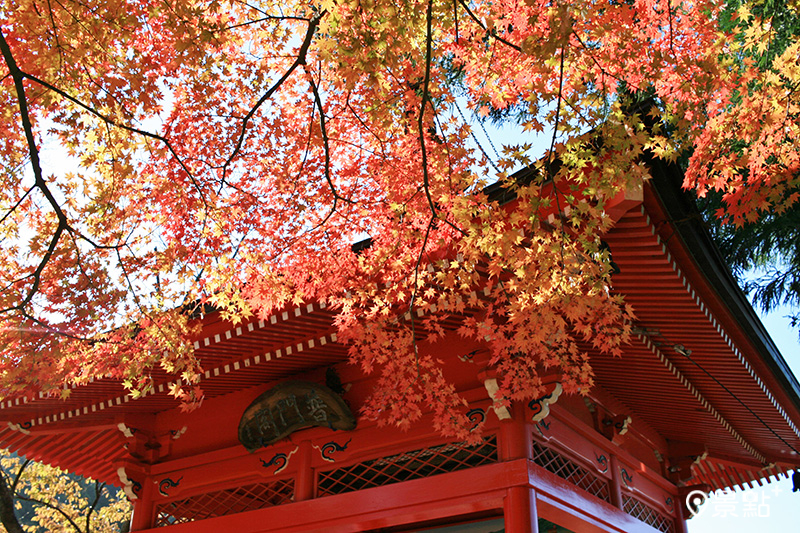 朱紅色的普門閣與紅葉同框競美值得一看。