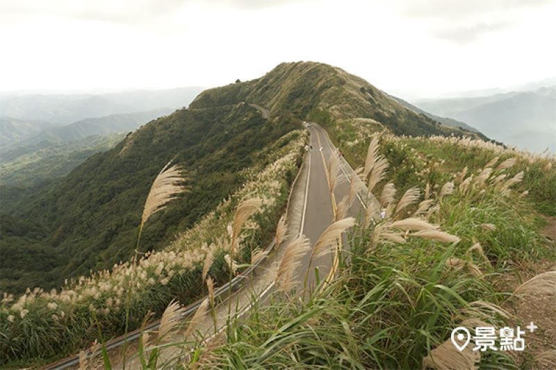 不厭亭號稱全台最美的寂寞公路。（圖／景點+ 廖維仁）