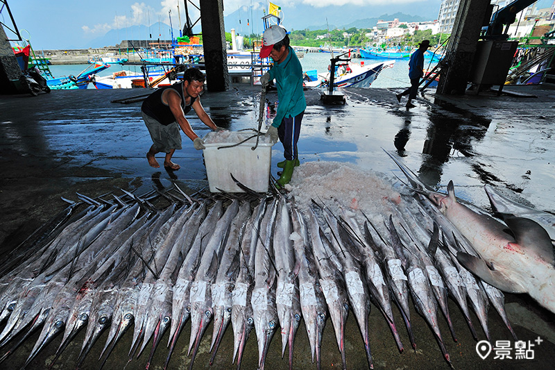 「東海岸旗魚季」歡迎大家到台東作客，大唾肥美滑嫩的旗魚。