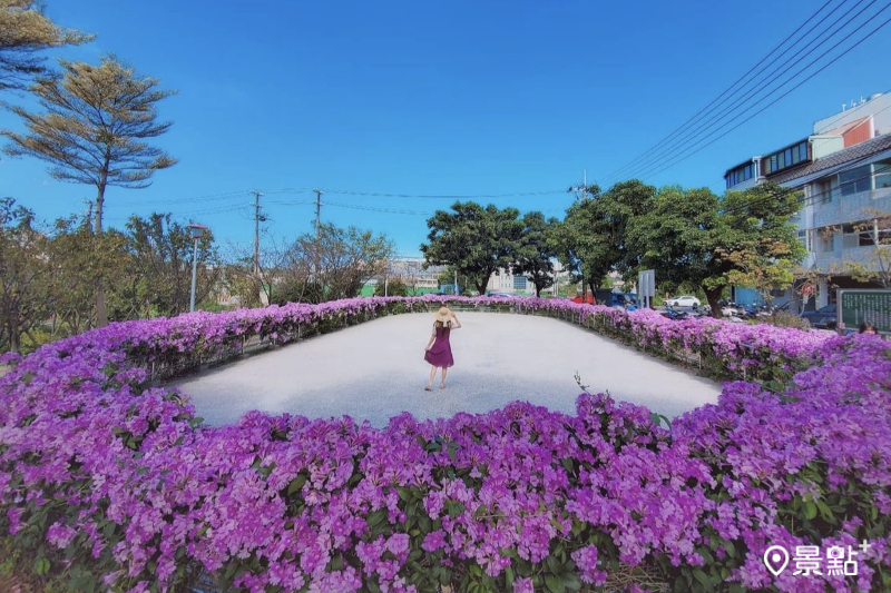 楊梅頭重溪公園蒜香藤美景。（圖／3more_hi4）