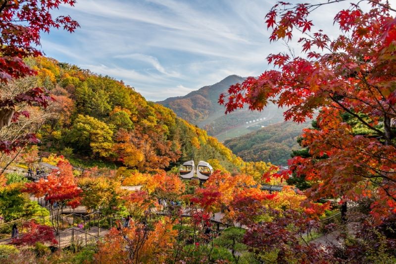 秋季限定漸層滿版楓紅大景！盤點10大韓國賞楓景點