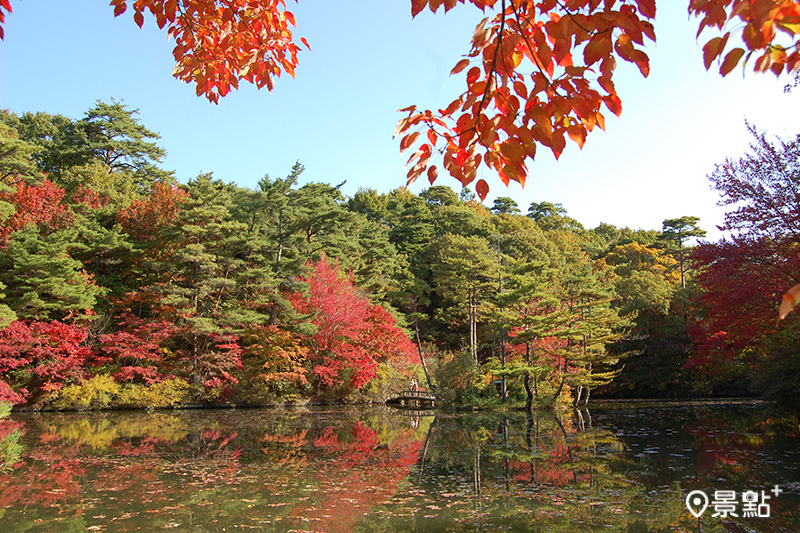 神戶市立森林植物園。