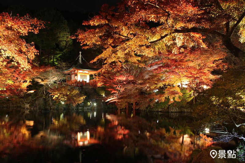 名將豐臣秀吉心心念念的「醍醐寺」賞楓美景，夜間更實行夢幻點燈。