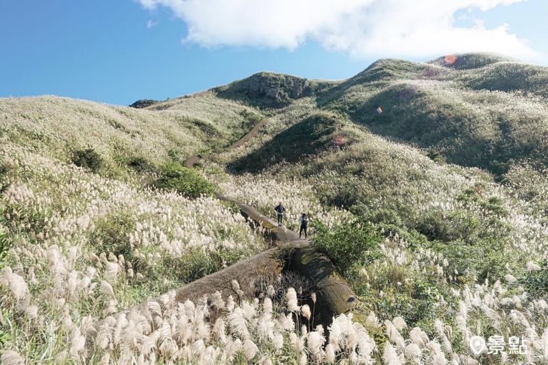 芒花海遍布山頭的景色非常壯觀。（圖／tw.luoyin）