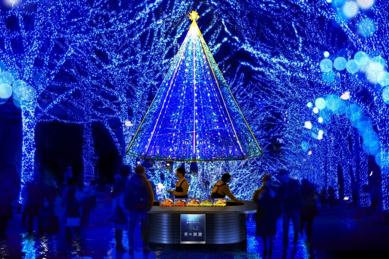 青の洞窟會場內聖誕樹造景。（圖／青の洞窟SHIBUYA）