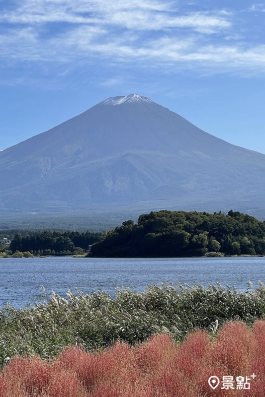 河畔轉紅的波波草點綴富士山景。（圖／ms_ya.1011，以下同）