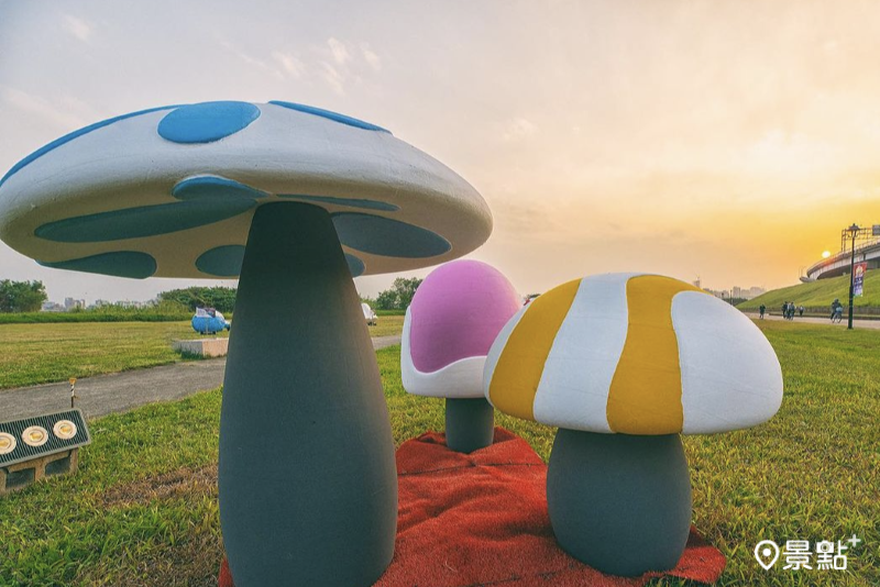 裝置藝術「神奇蘑菇」。