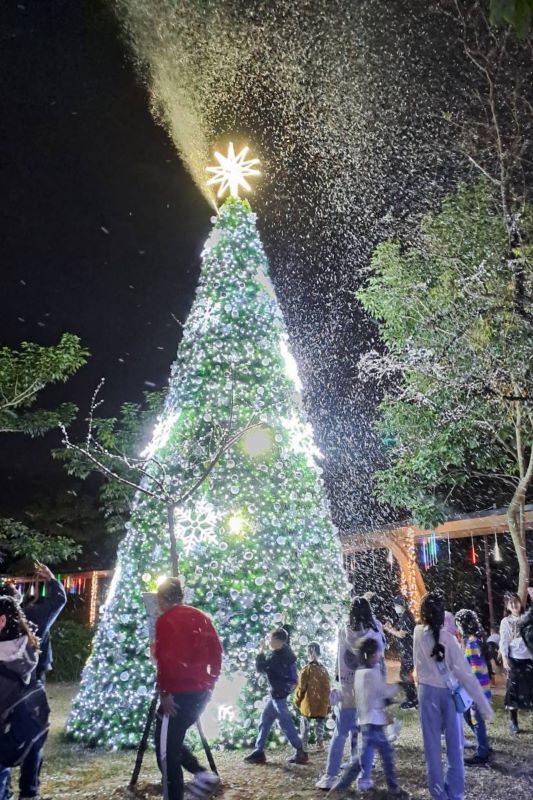 台中東勢客家文化園區聖誕樹。（圖／台中市東勢區公所，以下同）