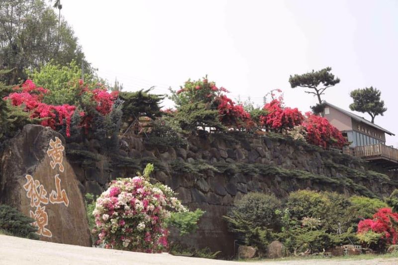 （圖／黃山秘境-景觀餐廳）