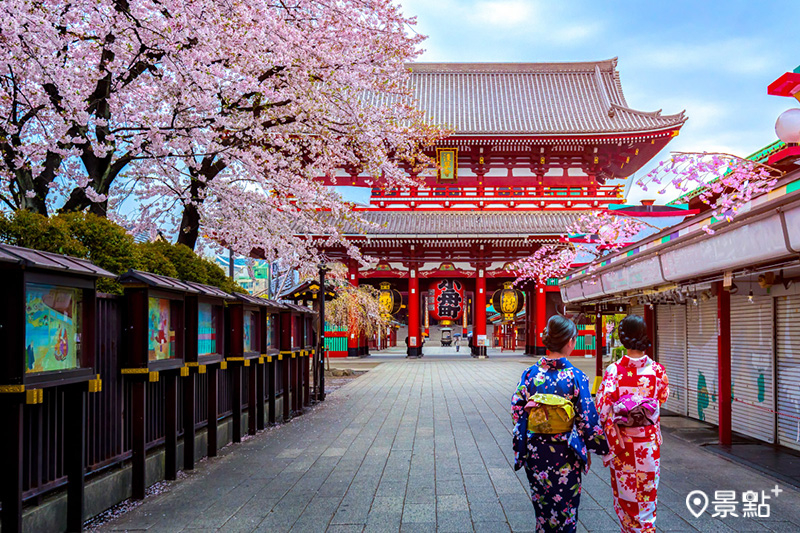 東京櫻花花期預計自3月中旬開始。