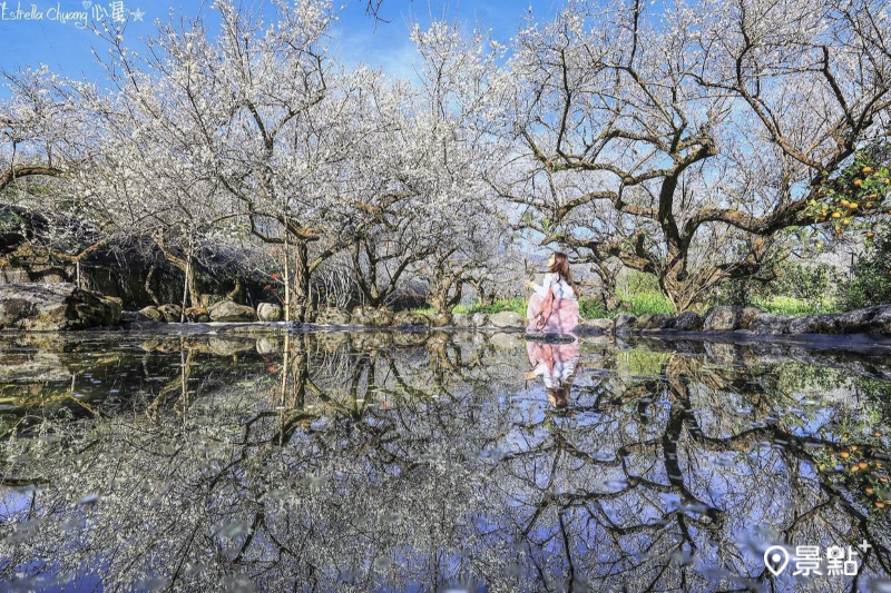 烏松崙森林渡假營石家梅園水池倒影大景。（圖／estrella_chuang）