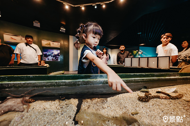 迷你解說員親子營活動，透過五感體驗加深海洋保育觀。