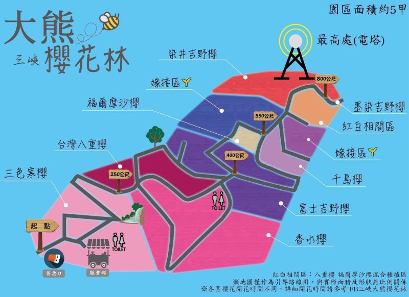 三峽大熊櫻花林賞櫻地圖。（圖／三峽大熊櫻花林，以下同）