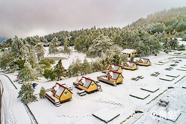 福壽山農場雪景 (圖／福壽山農場)