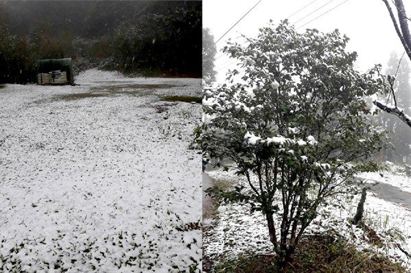 烏來山區2018年2月曾降下白雪，引發一波賞雪潮 。(圖／新店警好讚)