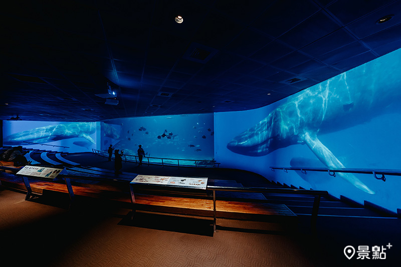 「鯨豚之洋」環繞式沉浸投影，潛入大洋與鯨豚共游。