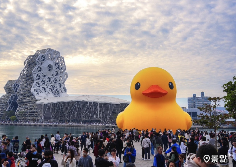 巨萌黃色小鴨吸引眾多遊客前來朝聖（照片出處：周家鴻）/ 高雄市政府提供。