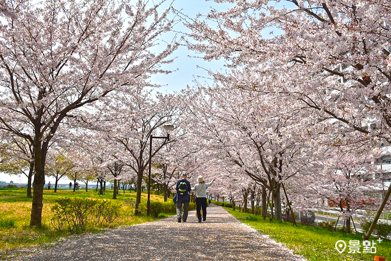 （圖／江戶川區）