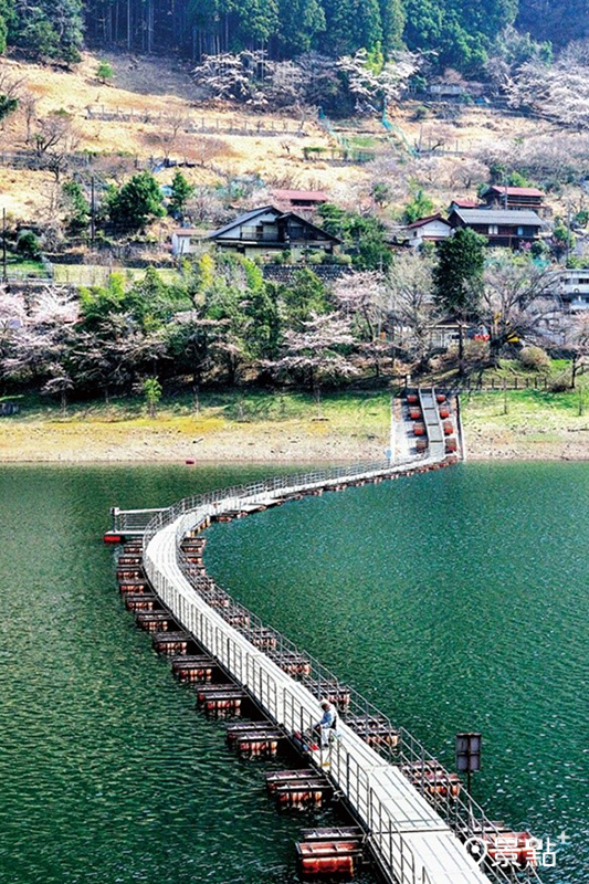 旅人可以走在奧多摩湖湖面上的歩行者専用浮橋。（圖／東京觀光財團）　