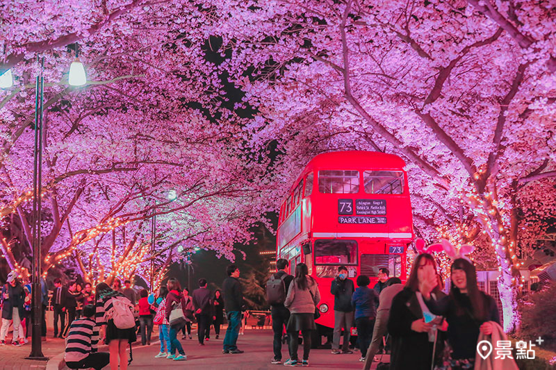 大邱廣域市「E-WORLD Blossom Picnic櫻花節」。