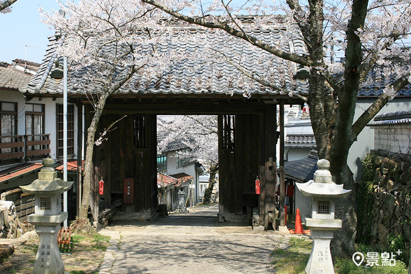 今高野山千年古寺與櫻花的組合，多了份日式雅致風情。