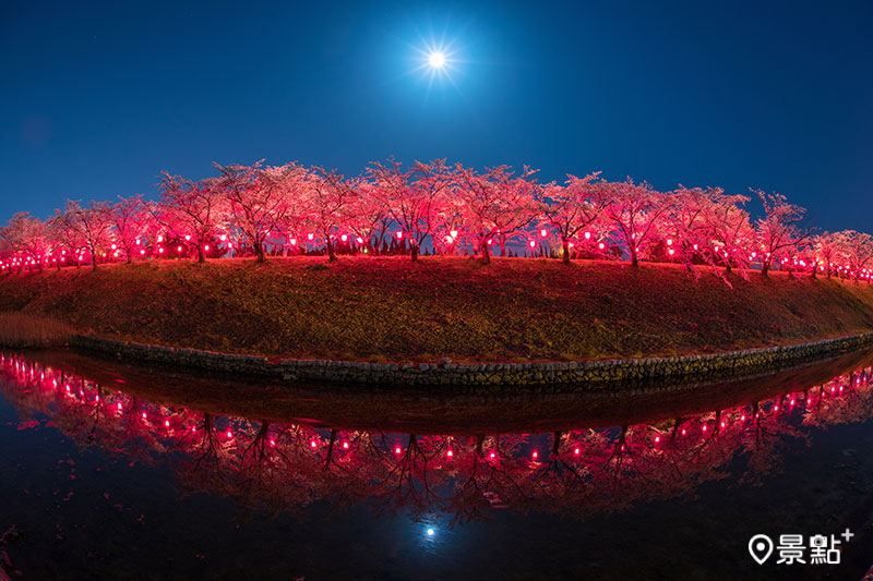 住吉堤防步道上的櫻花在紅色燈光的投射下，加上水中倒映，就像是一抺紅唇，動感迷人。