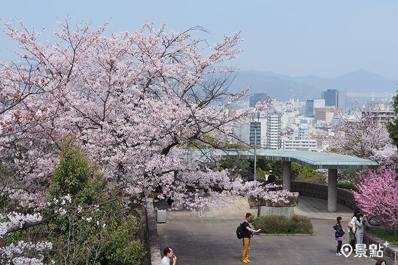 比治山公園可同時享受櫻花、藝術及廣島市街景所帶來的療癒。