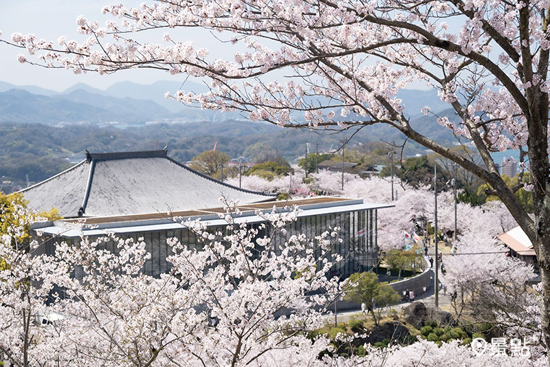 安藤忠雄設計的尾道市立美術館就坐落於千光寺公園中，櫻花環繞美不勝收。